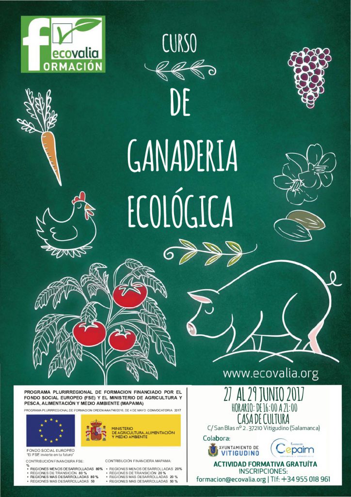Formando a profesionales del sector