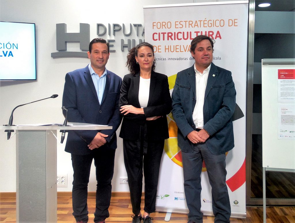Los cítricos ecológicos, la punta de lanza de un sector en alza