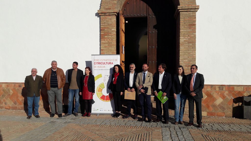 Expertos señalan el mercado ecológico como pieza clave para impulsar el sector de los cítricos españoles