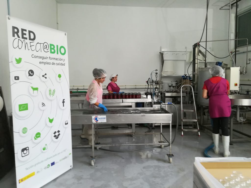 Asesoramiento a empresas ecológicas con REDconect@BIO