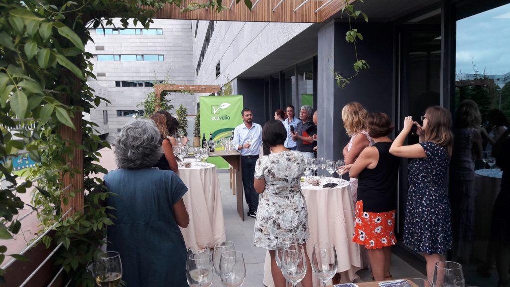 Periodistas andaluzas se convierten en prescriptoras de los vinos ecológicos