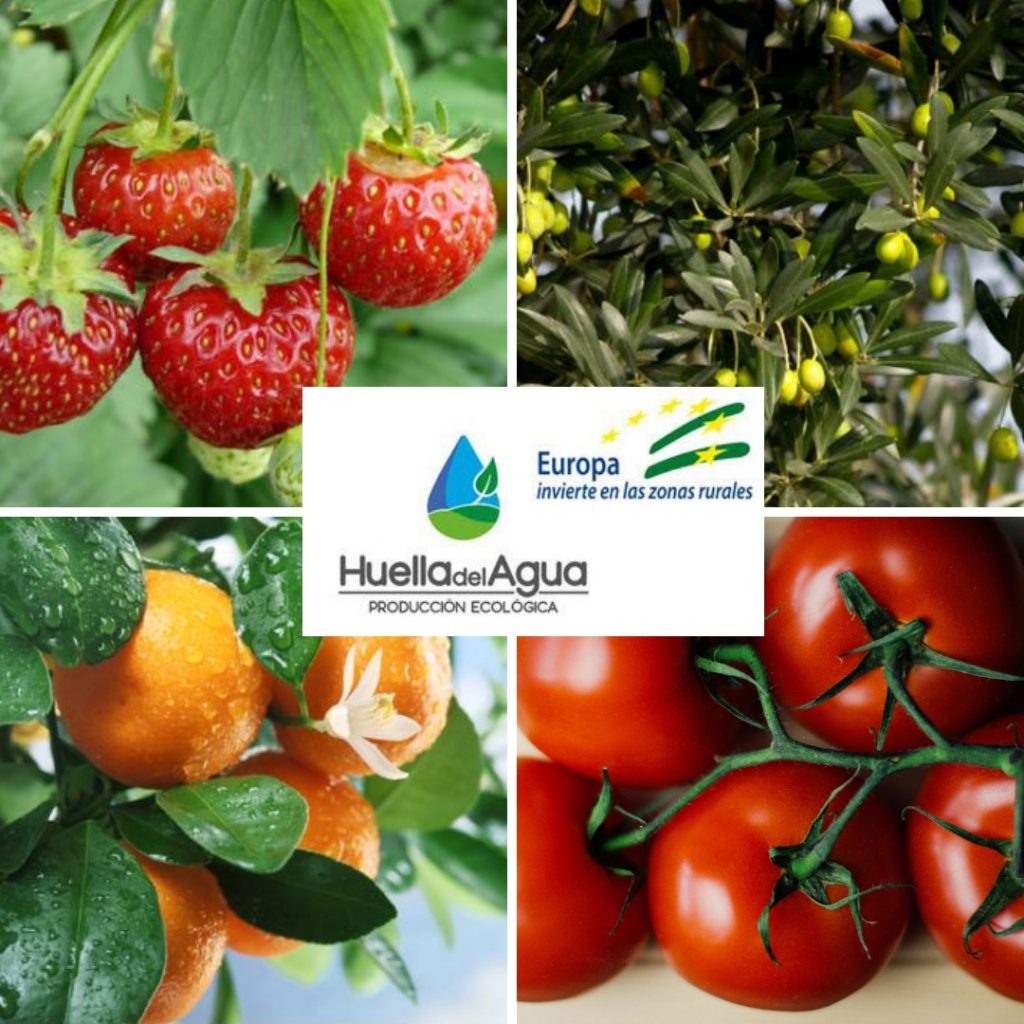 Comienza la fase de campo del G.O. Huella del Agua en Producción Ecológica