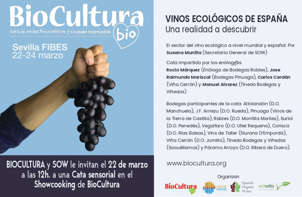 Vinos ecológicos: Una realidad a descubrir