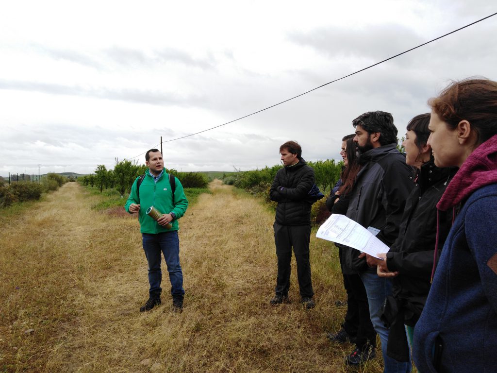El Máster de Agricultura y Ganadería Ecológicas cuenta con el apoyo de Ecovalia