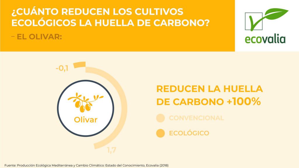 La producción ecológica reduce hasta un 100% la huella de carbono