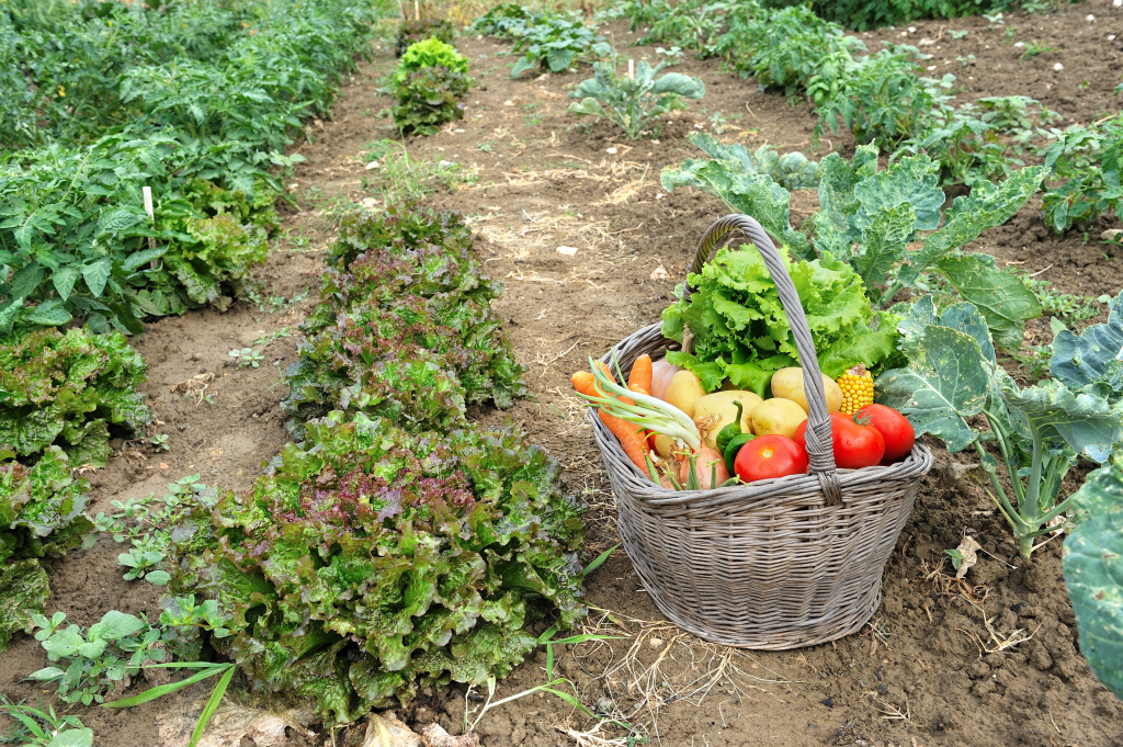 El Gobierno publica la orden de rebaja del IRPF 2019 que beneficia a agricultores y ganaderos