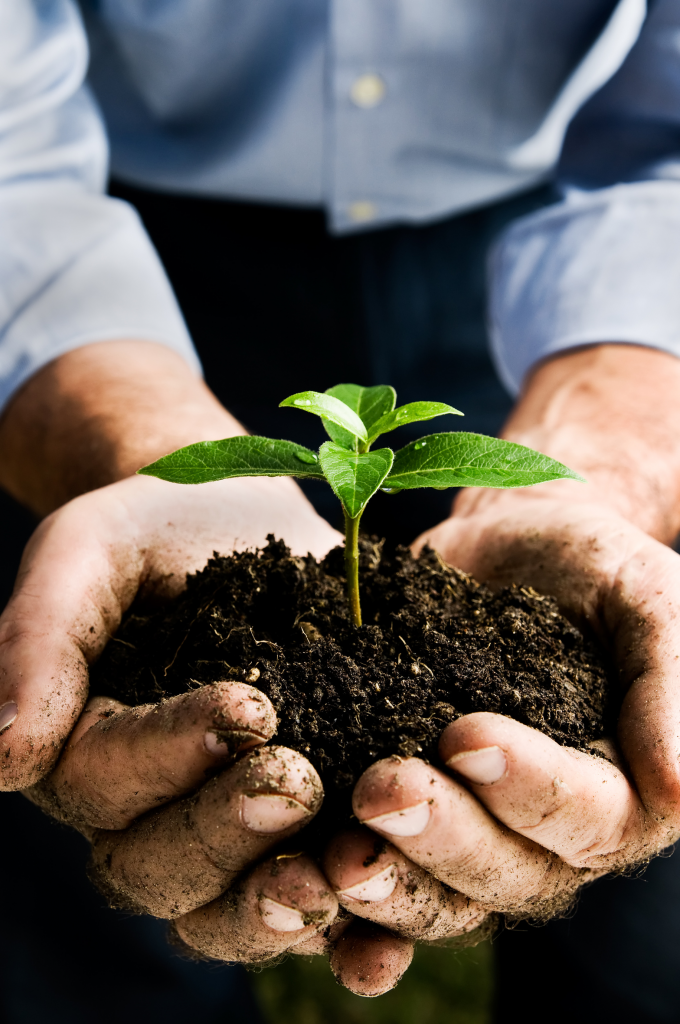 Ecovalia solicita que se aplace la entrada en vigor del nuevo reglamento europeo para la producción ecológica