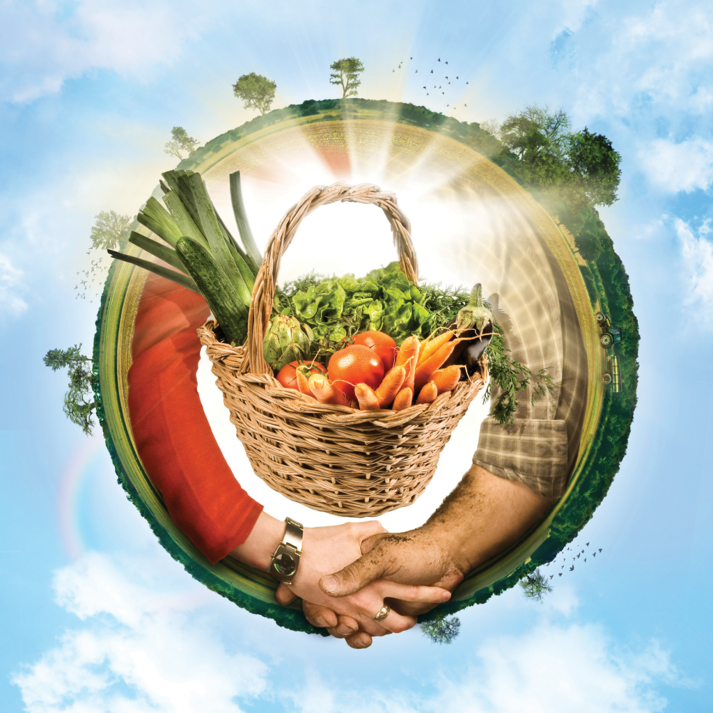 Ecovalia colabora en el webinar ‘Cooperar para consumir ecológico y local’
