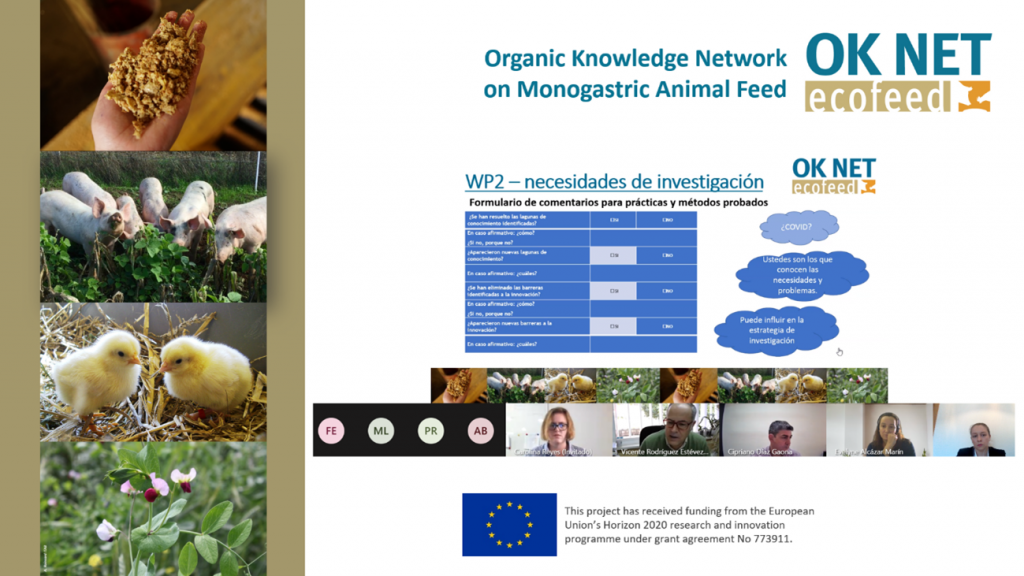 OK-Net Ecofeed reúne a expertos para definir los pasos a seguir en la consecución de una dieta 100% ecológica en cerdos y aves
