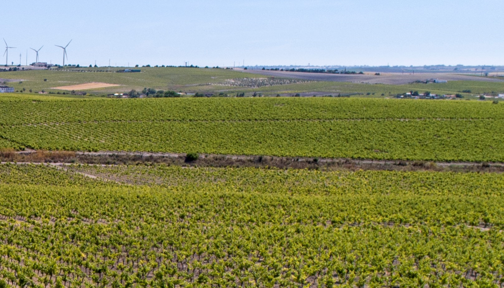 Desde hoy se pueden solicitar las ayudas de mantenimiento de producción ecológica