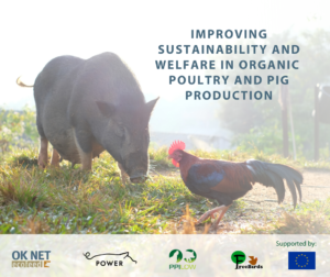 Ecovalia participa en la conferencia ‘Mejorando la sostenibilidad y el bienestar en la producción de aves y cerdos ecológicos’
