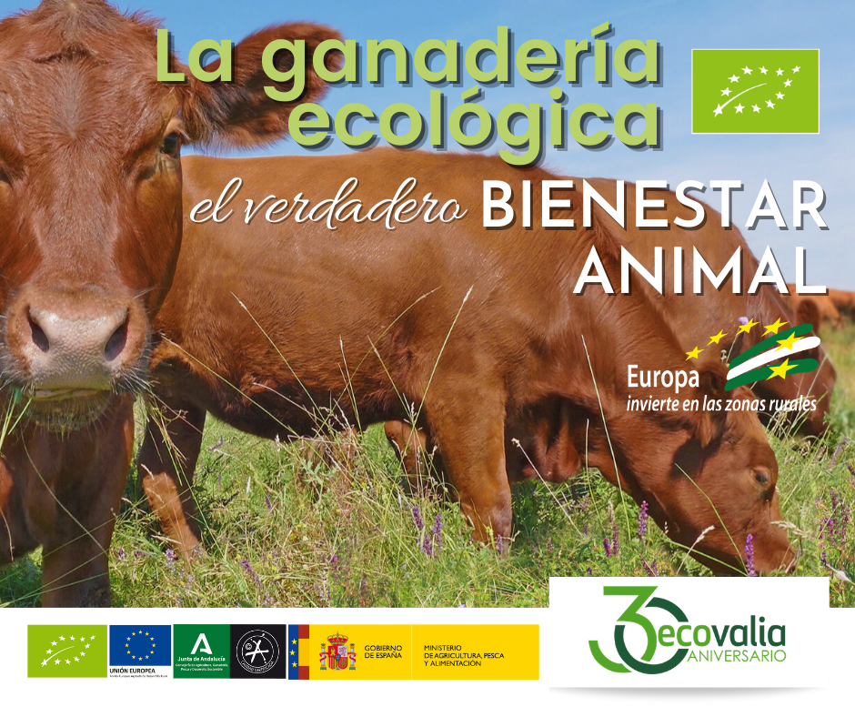 Ecovalia destaca los valores de la ganadería ecológica en Andalucía