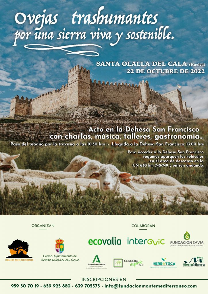 Ecovalia colabora en la marcha trashumante de ovejas a la Dehesa San Francisco