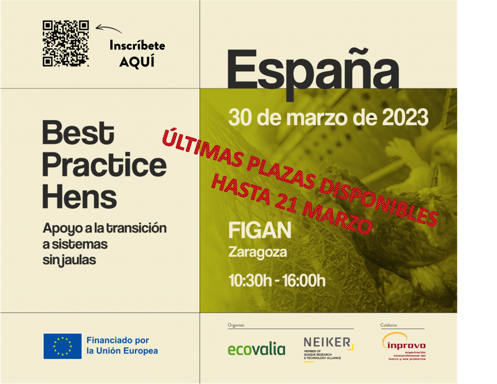 Últimas plazas para el taller sobre las mejores prácticas en sistemas de producción más sostenibles de Best Practice Hens