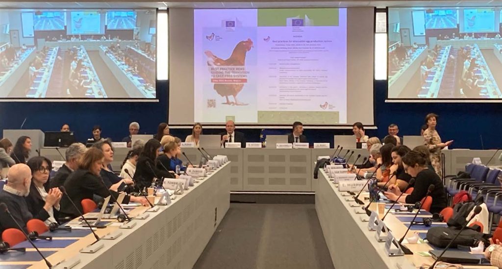 Best Practice Hens, un proyecto para sistemas alternativos de producción de huevos, celebró su conferencia final en Bruselas