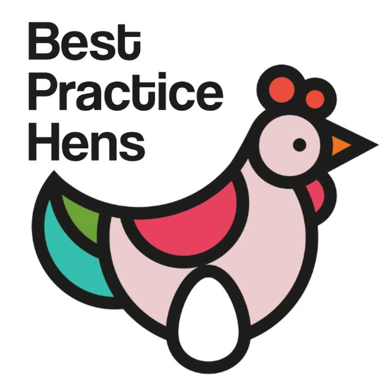 proyecto best Practice Hens
