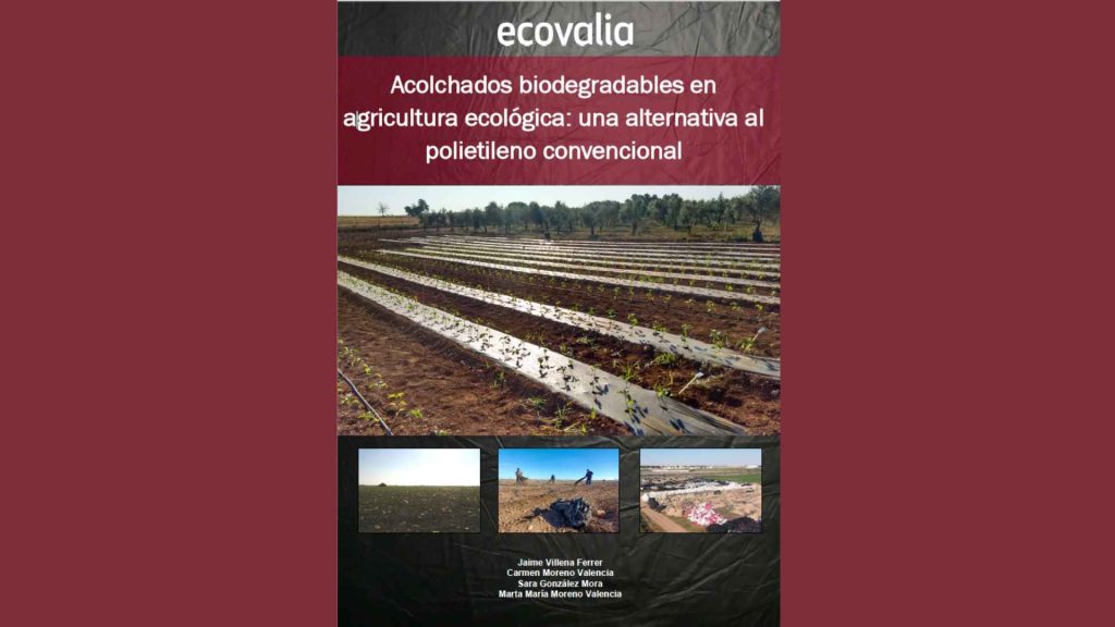 informe-acolchados-biodegradables-en-agricultura-ecologica-ecovalia