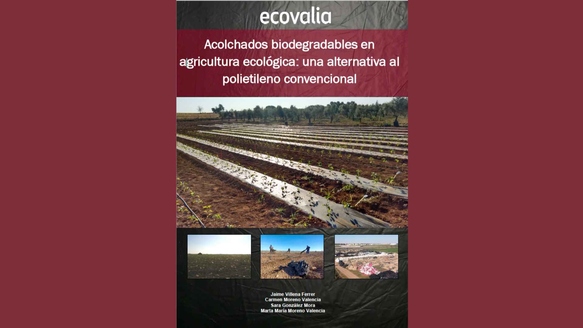 informe-acolchados-biodegradables-en-agricultura-ecologica-ecovalia