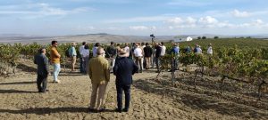 invitec-px-proyecto-vinos-ecológicos-jerez-visita-perioditas-bodega