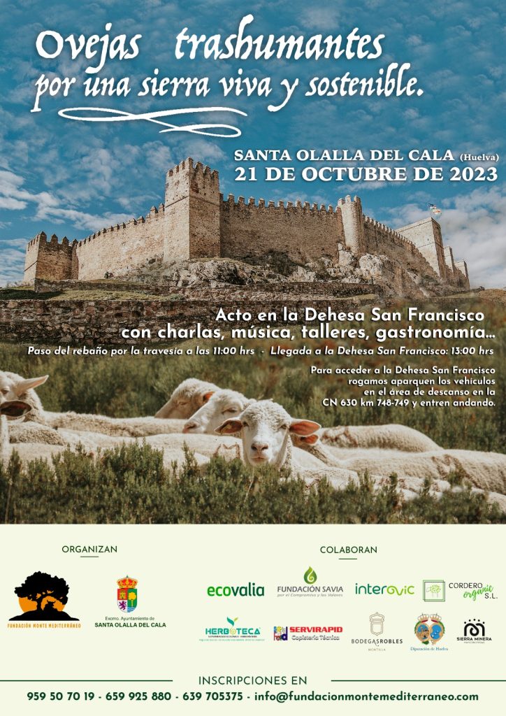 Ecovalia colabora en la marcha trashumante de ovejas a la Dehesa San Francisco