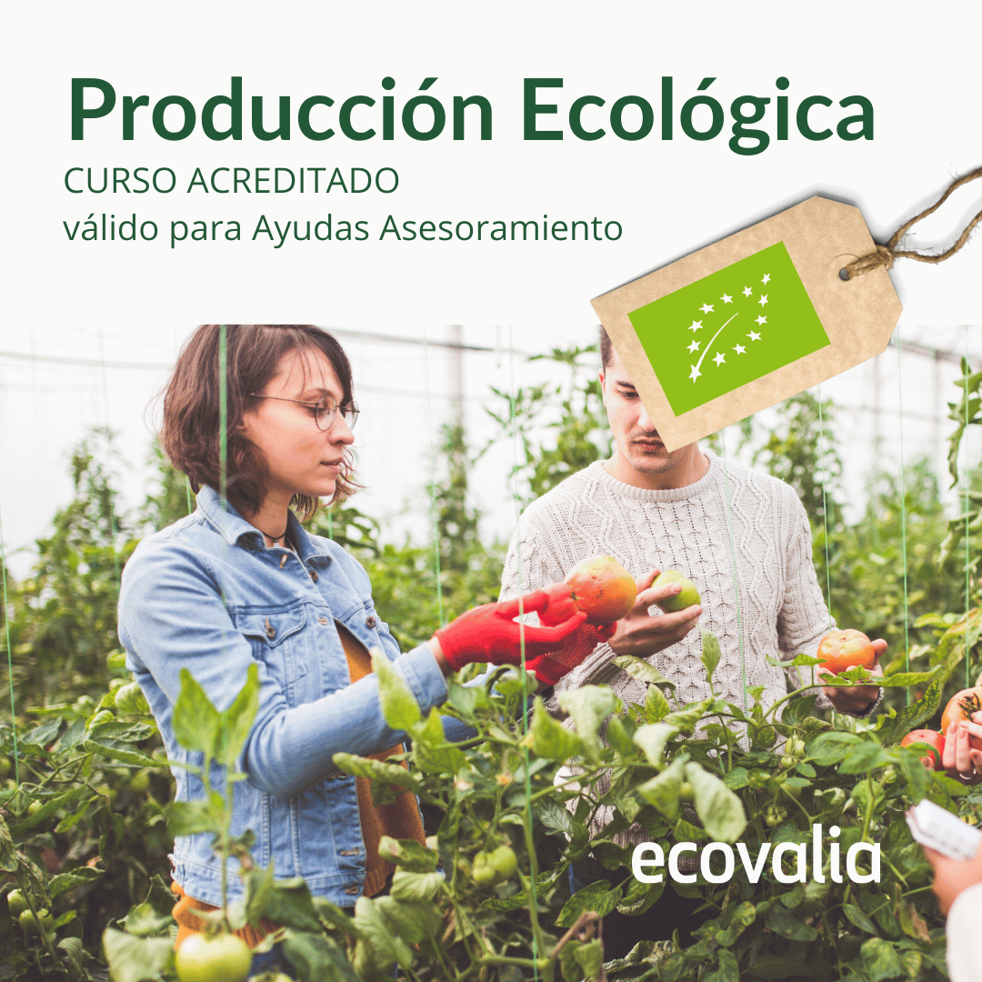 Curso producción ecologica acreditado asesoramiento
