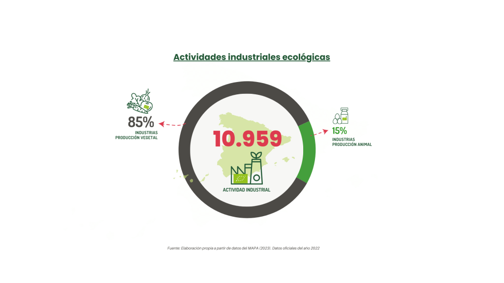 Actividades industriales ecológicas-informe anual ecovalia 2024