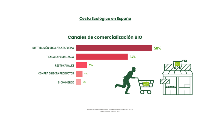 Canales de comercialización BIO españa-informe anual ecovalia 2024