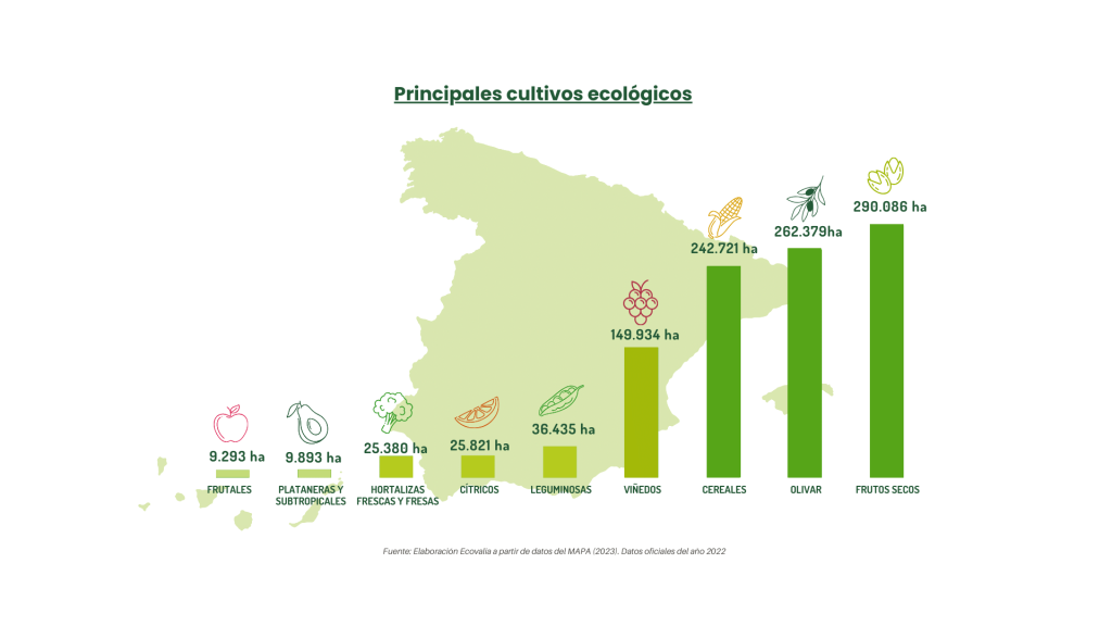 Principales cultivos ecológicos españa-informe anual ecovalia 2024