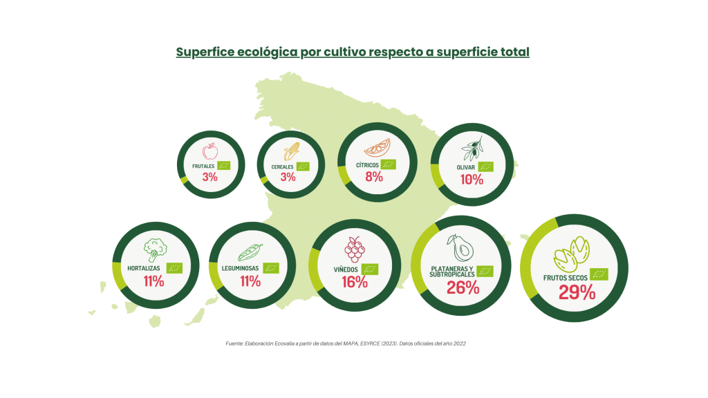 Superfice ecológica por cultivo respecto a superficie total españa-informe anual ecovalia 2024