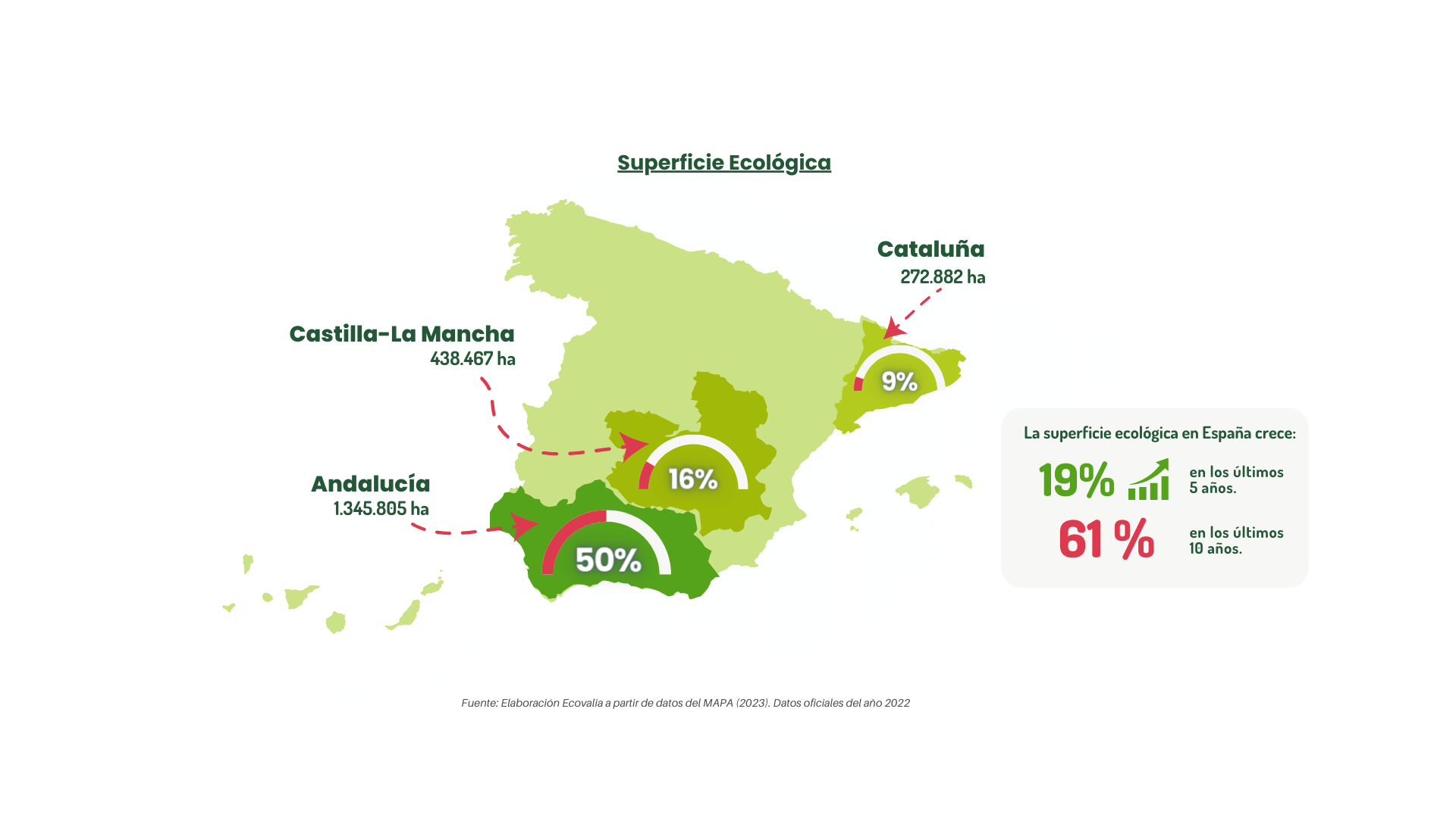 Superficie Ecológica españa- informe anual ecovalia 2024