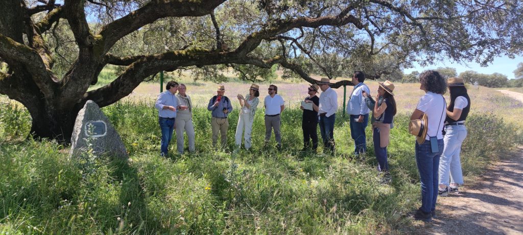 Ecovalia organiza un ‘press trip’ para dar a conocer y promocionar la producción ecológica