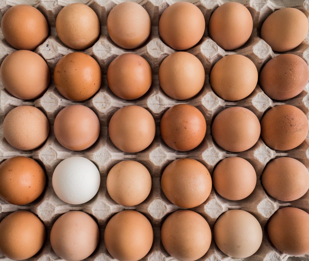 Ecovalia y ASOBIO desmienten afirmaciones erróneas sobre los huevos ecológicos publicados por la OCU y piden rectificaciones