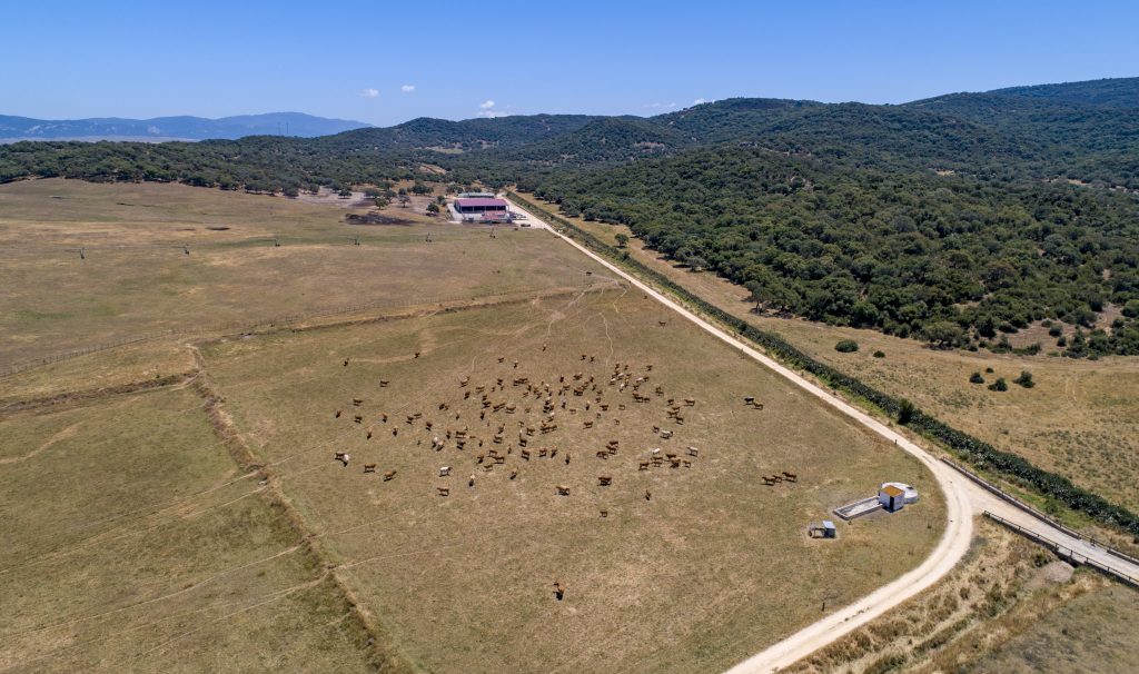 España lidera la agricultura ecológica en Europa, pero el sector necesita un plan estratégico para mirar más allá de 2030