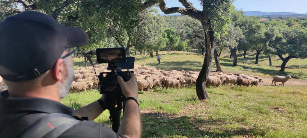 BioNNOMÍA muestra los beneficios de la trashumancia en el medio ambiente