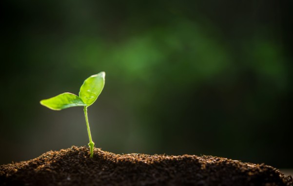 La agricultura ecológica puede ser la solución ante la crisis de los fertilizantes y ayudar a avanzar en el desarrollo del Plan de Acción sobre Fertilizantes
