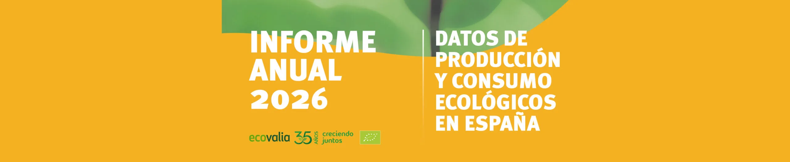 Informe Anual 2026 de la producción ecológica en España