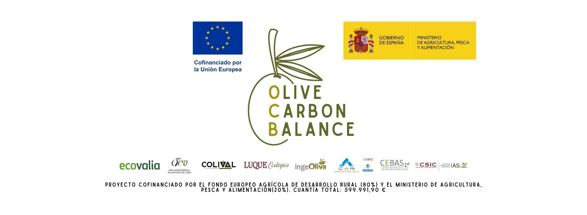 Olive Carbon Balance
