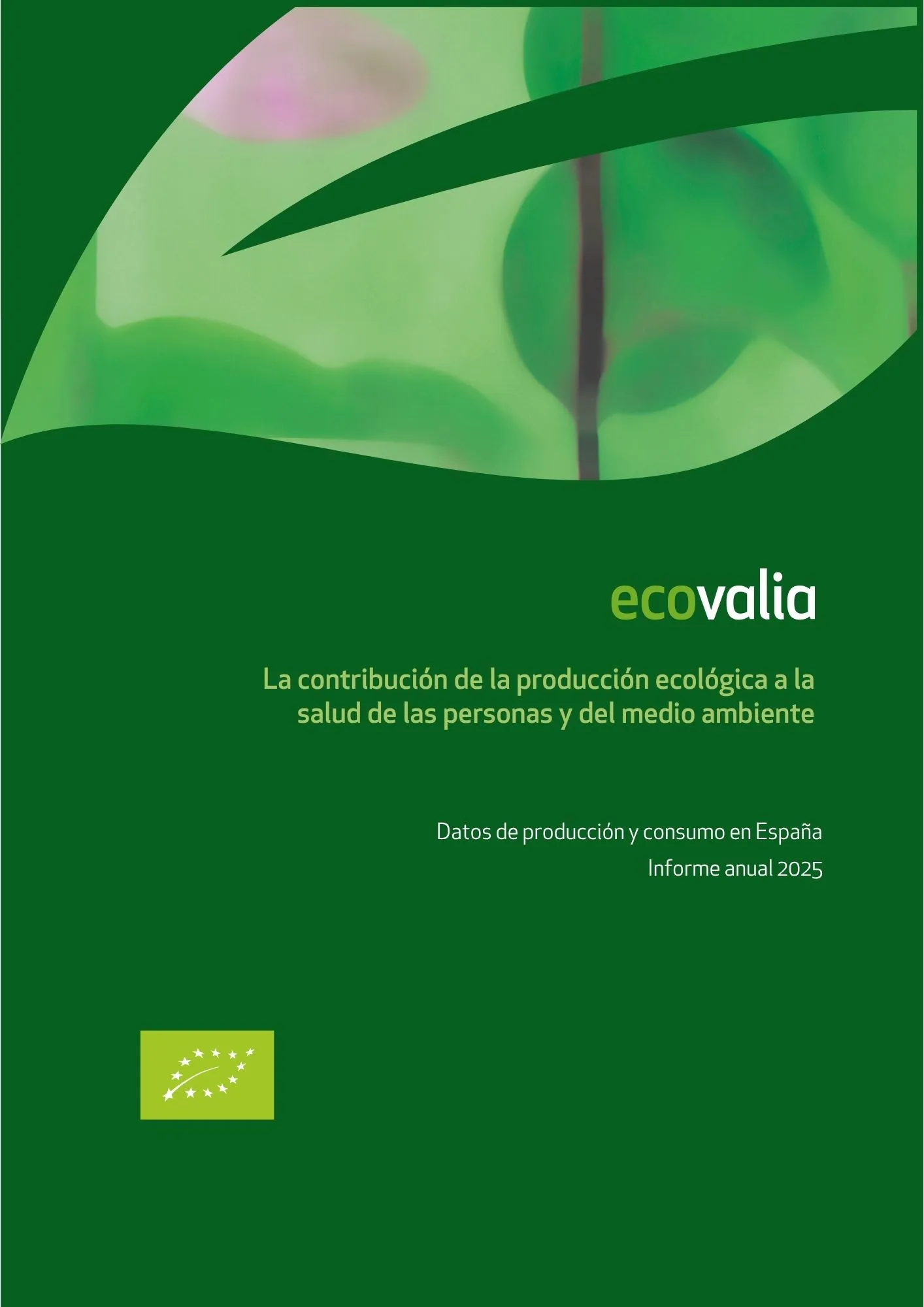 Portada Informe Anual 2025