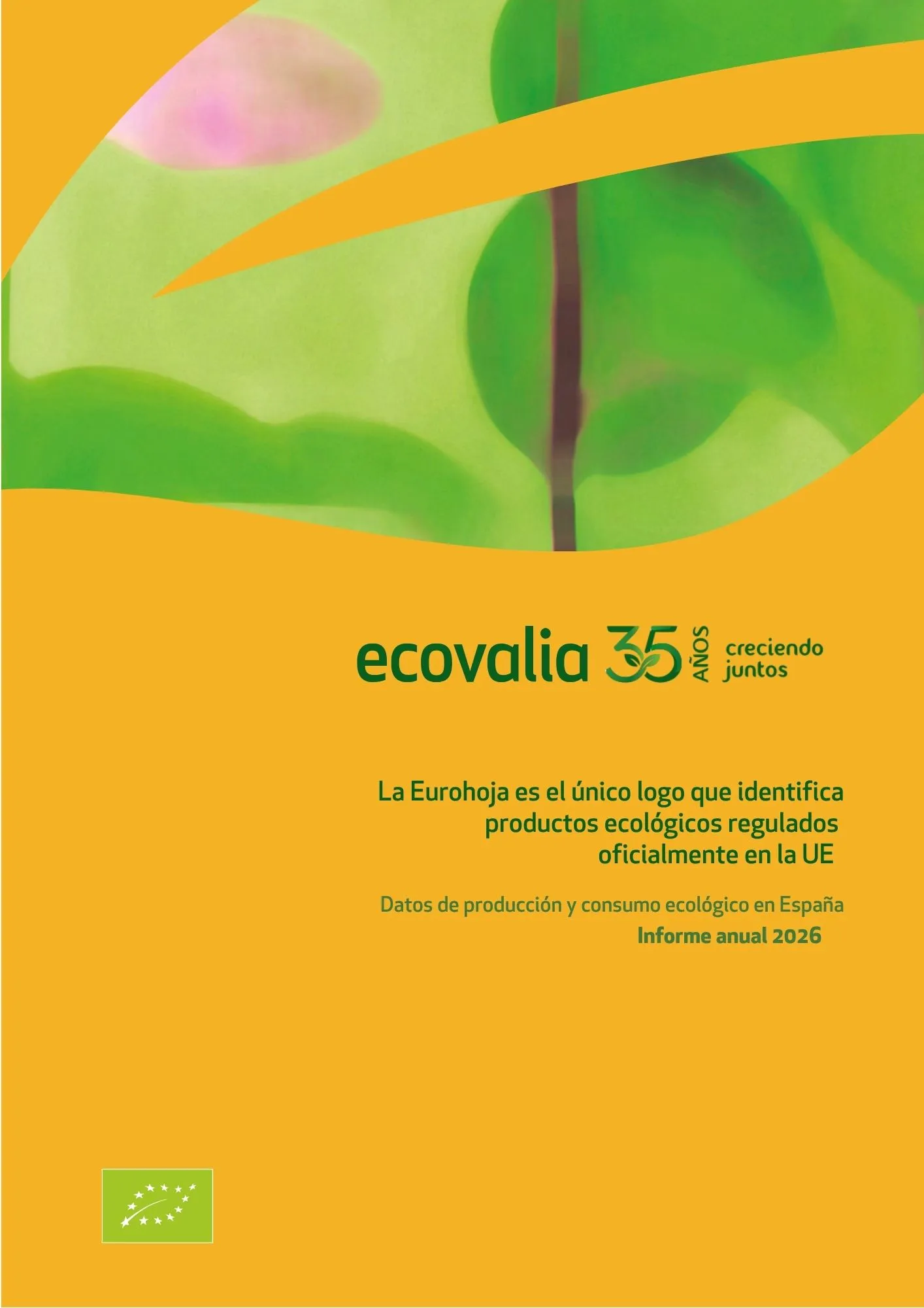 Portada Informe Anual 2026