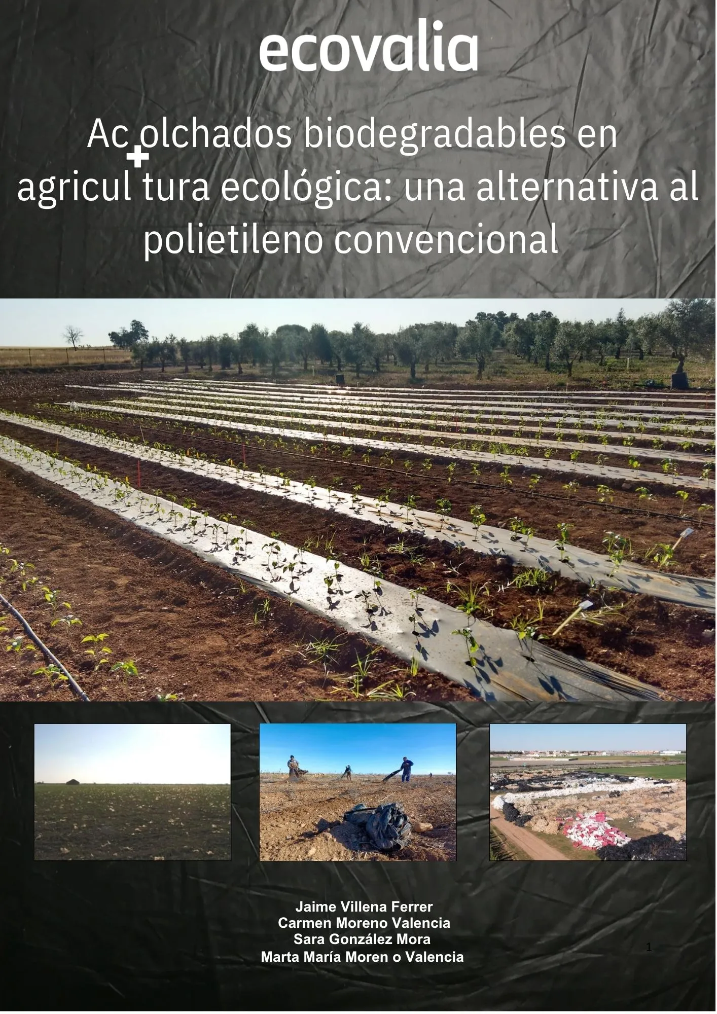 Portada: Acolchados Biodegradables en Agricultura Ecológica