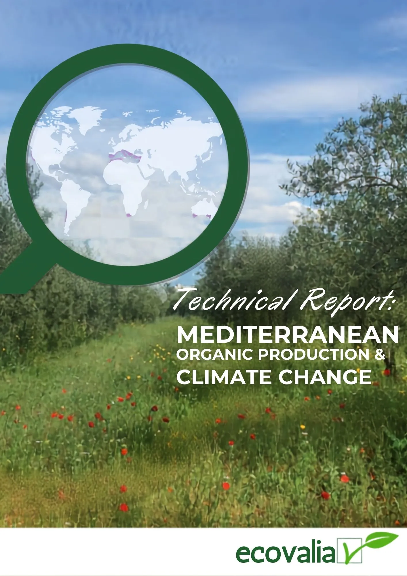 Portada: Informe técnico Cambio Climático en inglés