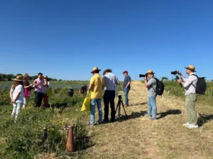 Visita a fincas ecológicas en Sevilla