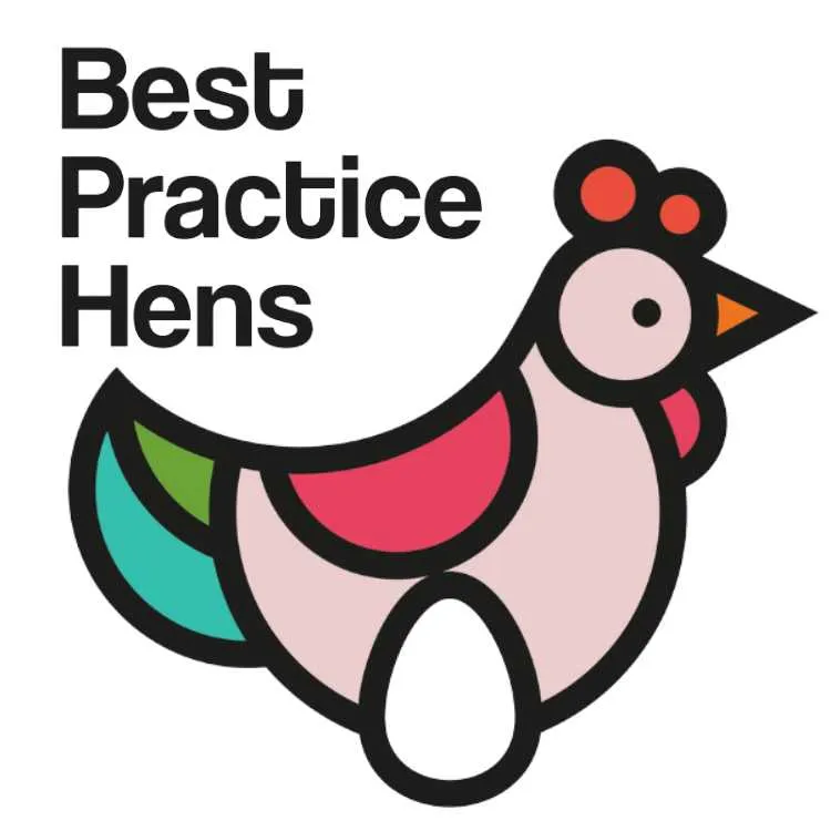 Best Practice Hens