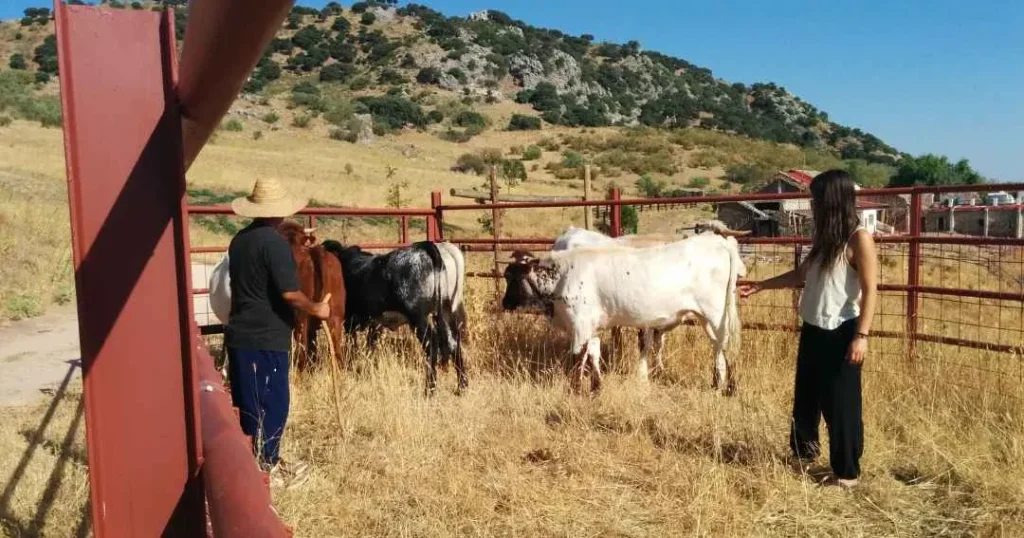 Historias con raíces: Entrevista a Manuel Orellana. Finca Agroecológica Maraver